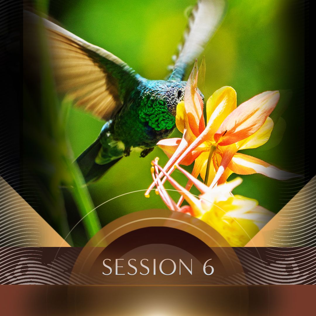 Session 06 — The Science of Inner Transformation
